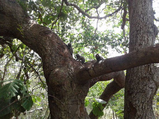 Ceara Botanical Park